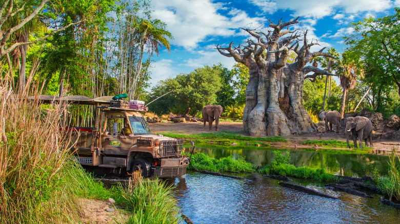 safari vehicles and elephants