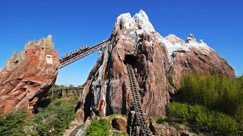 A train ascends the mountain on Expedition Everest