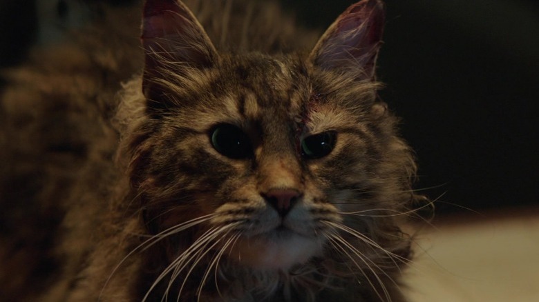 Church in 2019 Pet Sematary