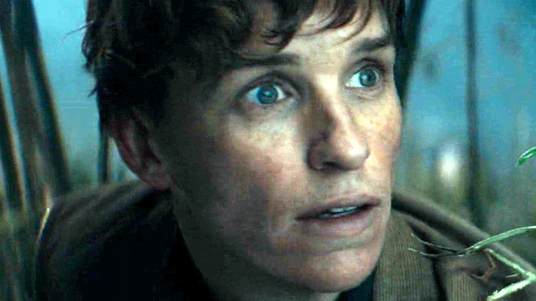 Eddie Redmayne as Newt Scamander