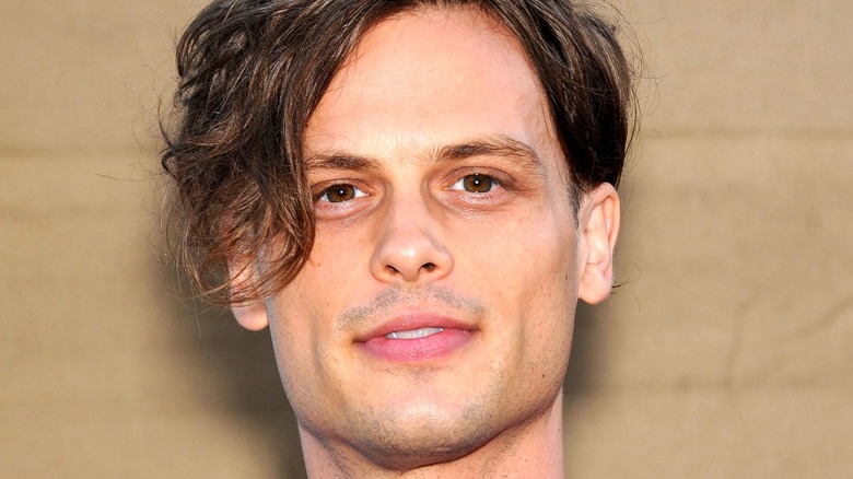 Matthew Gray Gubler close-up