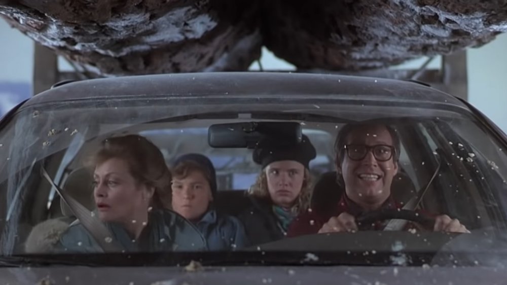Dumb Things We Ignored In National Lampoon s Christmas Vacation