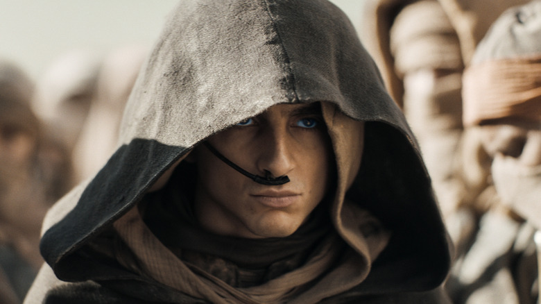 Paul Atreides in the desert in Fremen gear