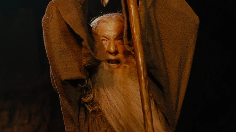 Gandalf raises his staff  in "The Lord of the Rings: The Fellowship of the Ring" (2001)