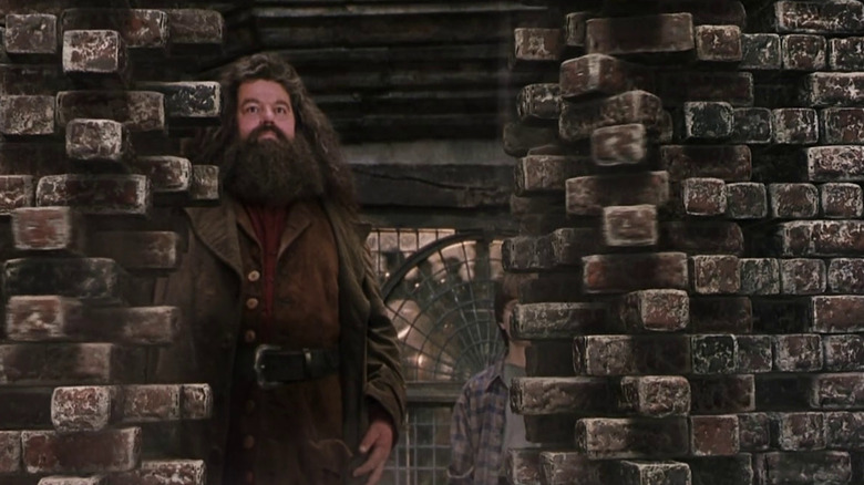 Hagrid unravels bricks in Diagon Alley