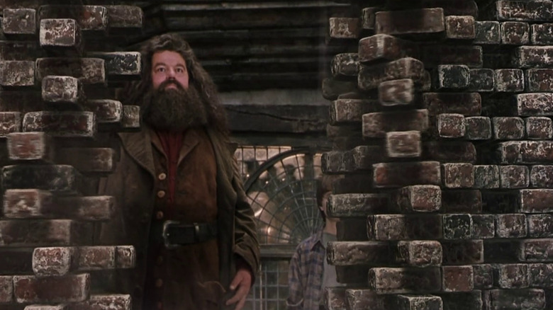 Hagrid unravels bricks in Diagon Alley
