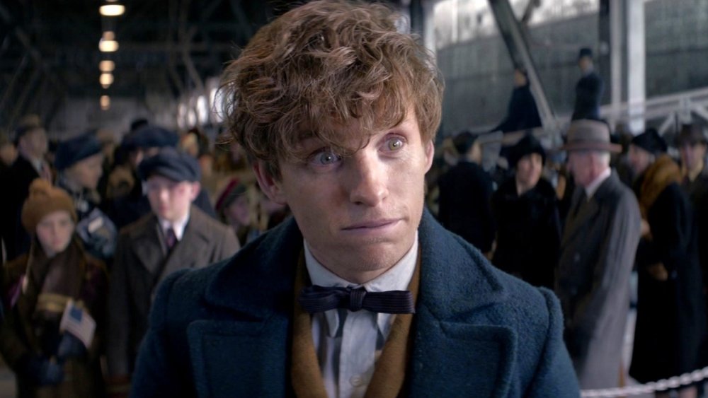 Eddie Redmayne as Newt Scamander in Fantastic Beasts and Where to Find Them