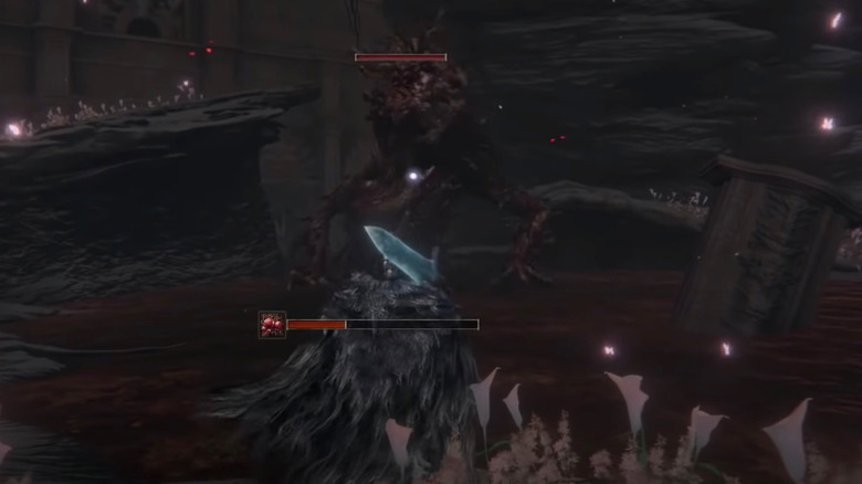Rot Worm fight 