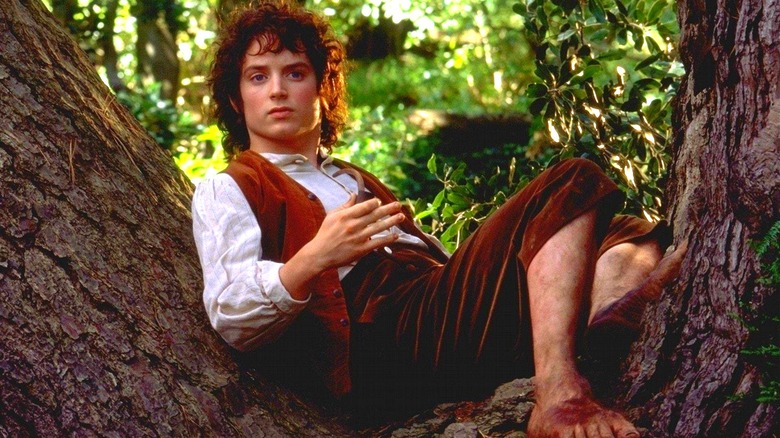 Frodo Baggins sitting in tree