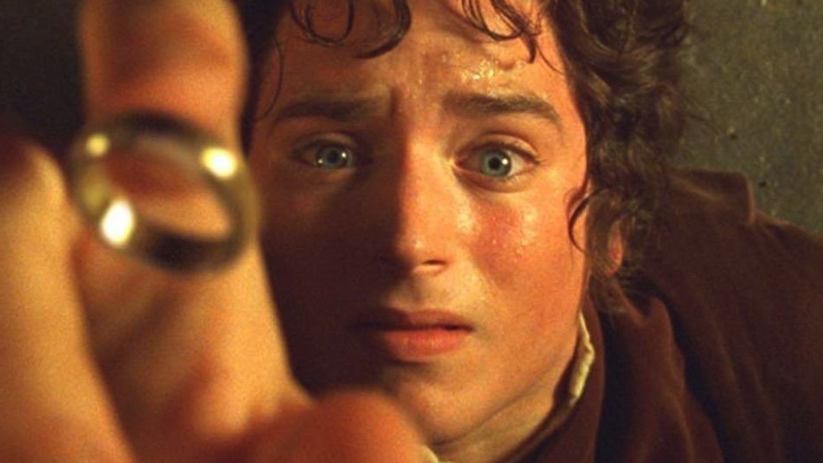 Elijah Wood Reveals What It Was Really Like During Fellowship Of The Ring