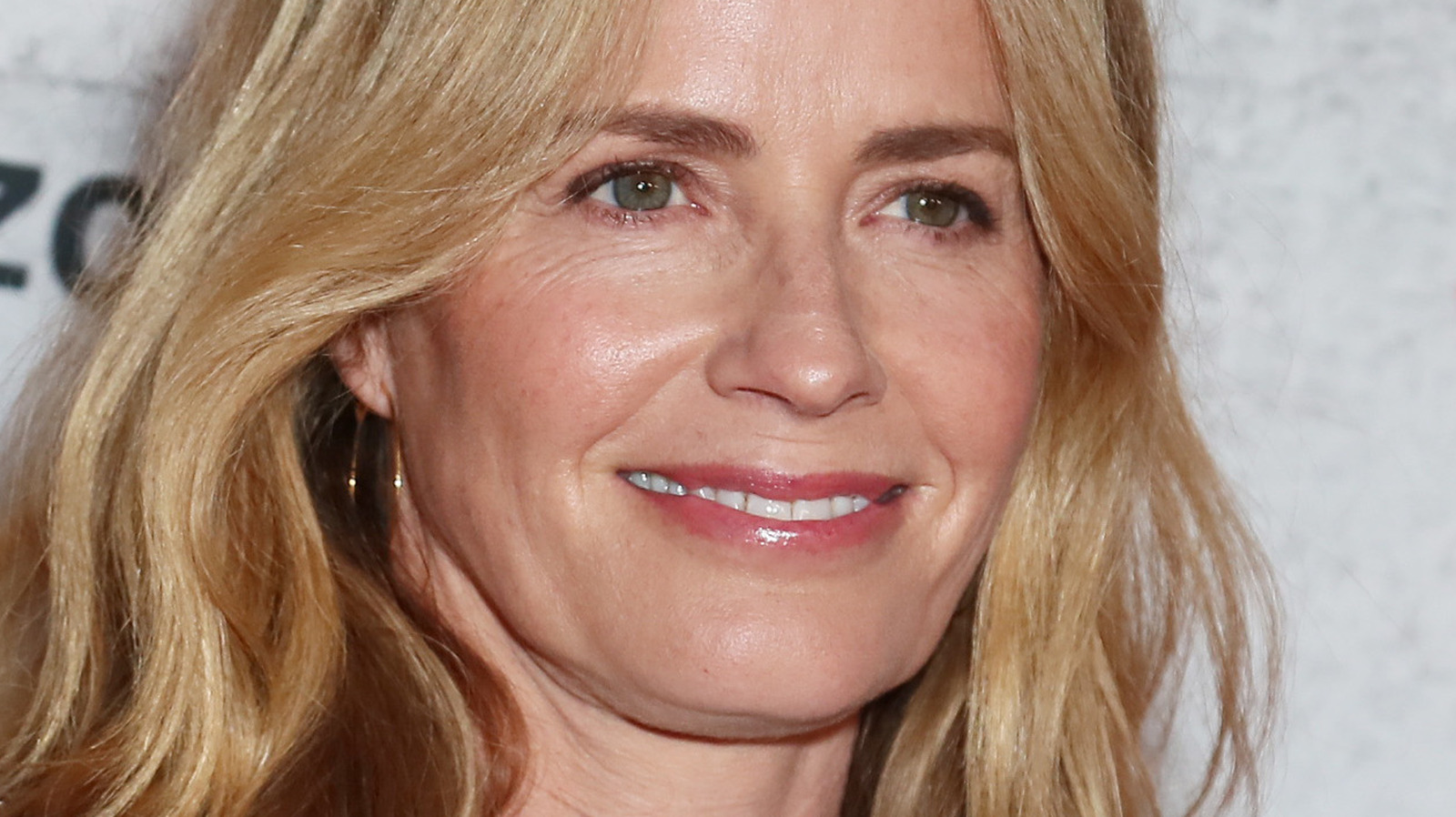 Elisabeth Shue's Dream Storyline For CSI's Julie Finlay Involves A
