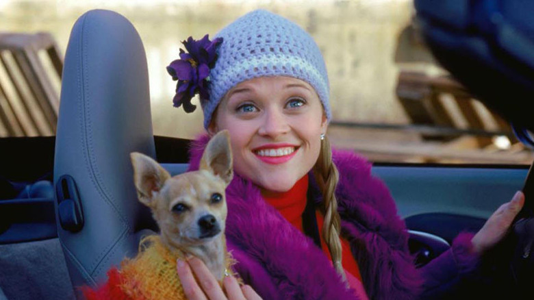 Elle scratches Bruiser under the chin in "Legally Blonde"