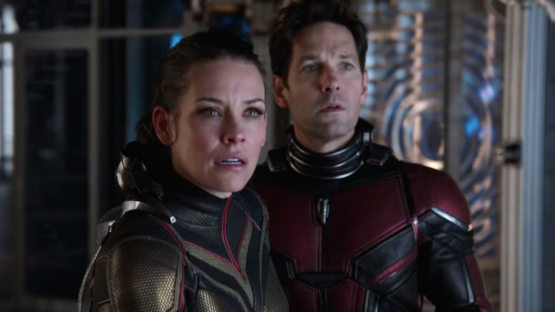 Wasp and Ant-Man looking on