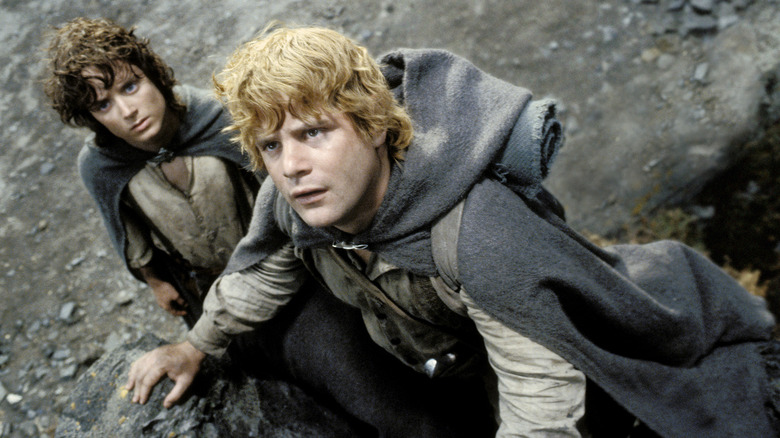 Frodo and Samwise looking up in "The Lord of the Rings: The Return of the King" (2003)