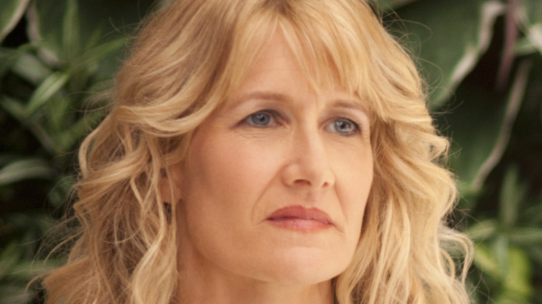 Laura Dern Enlightened