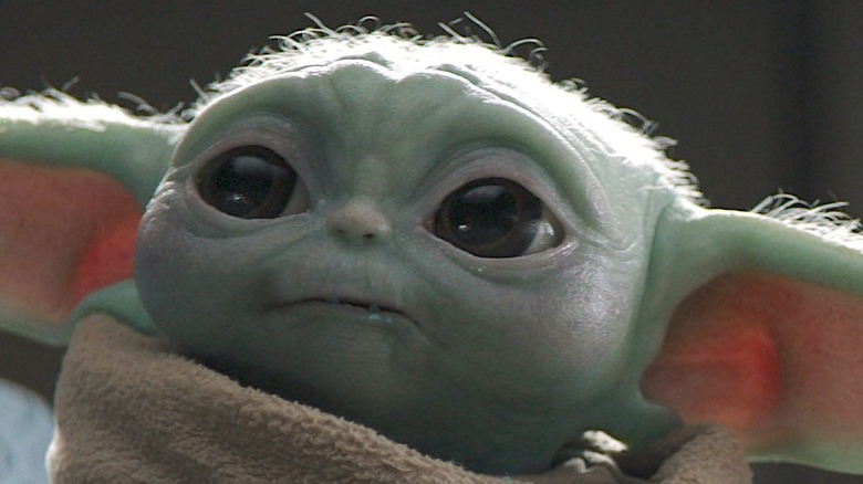 Baby Yoda eats cookie