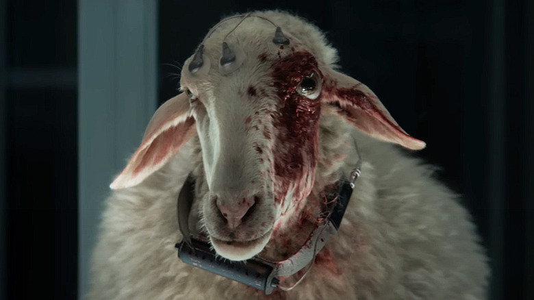 A sheep, recently possessed (violently) by an alien eyeball