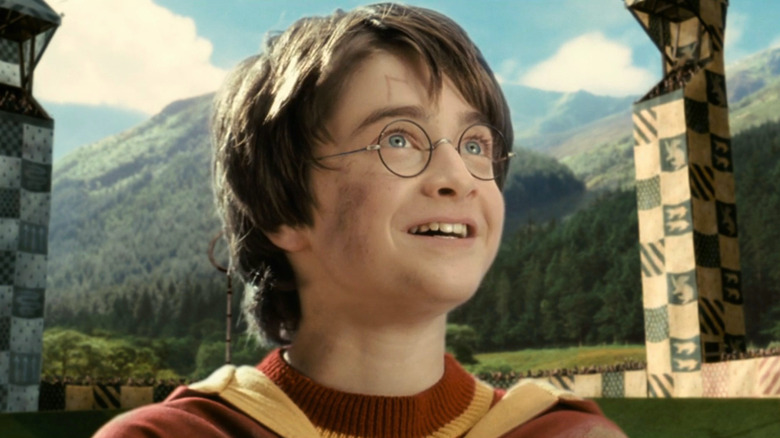 Harry Potter smiles in Quidditch stadium