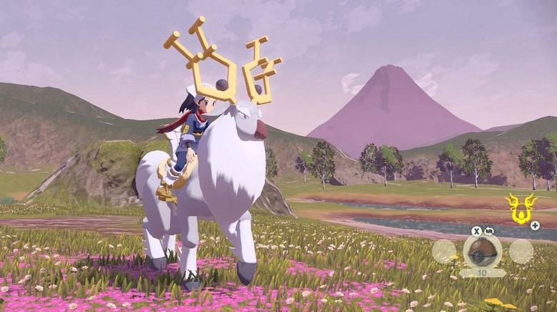 trainer riding wydeer