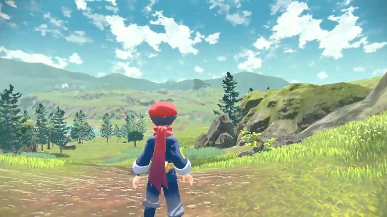 pokemon trainer facing the open world