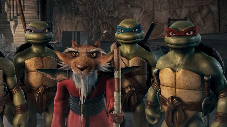 The main characters of "TMNT" (2007)