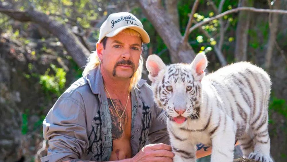 Joe Exotic in Tiger King