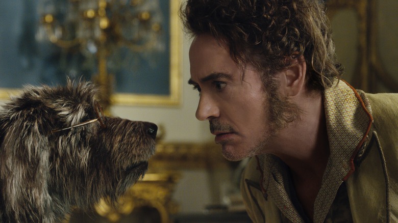 Robert Downey Jr. talks to dog