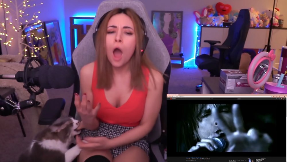 alinity, natalia mogollon, twitch, milo, cat
