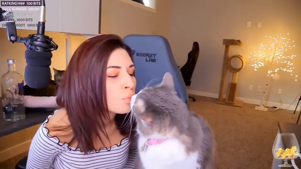 alinity, natalia mogollon, twitch, PETA