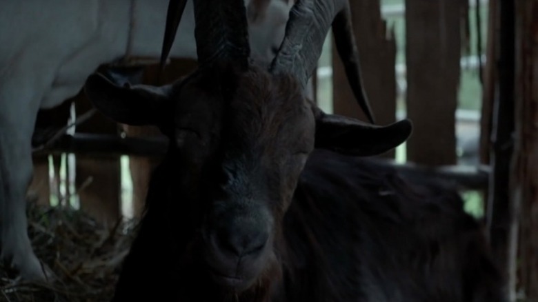 The Witch