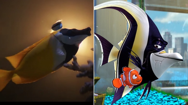 Fish from Inside and Gill
