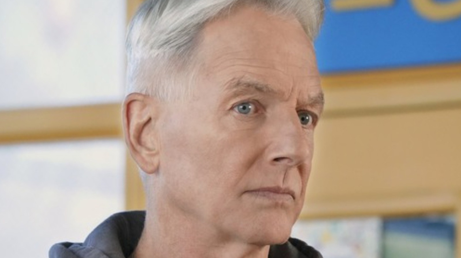 Why Gibbs Marine Rank Bothers Ncis Fans vrogue.co