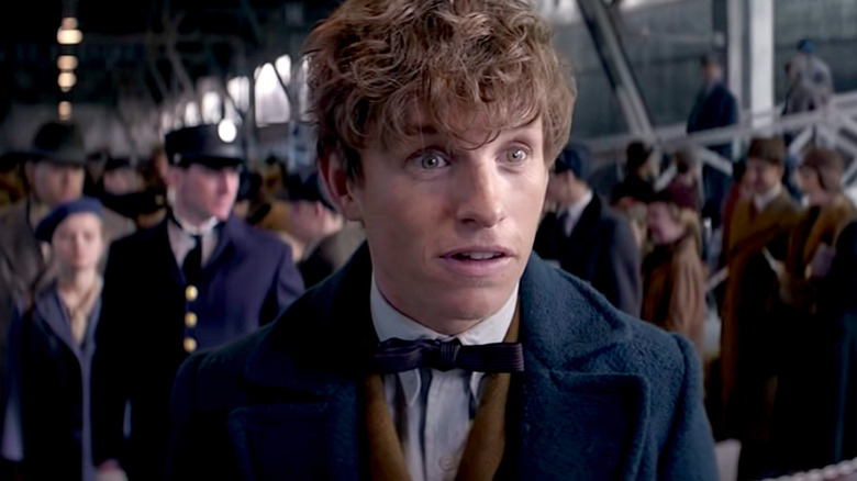 Newt Scamander smirking