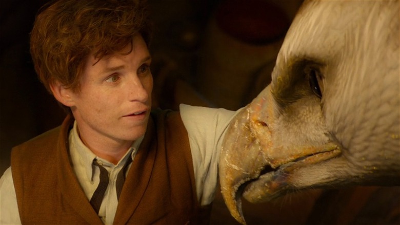 Newt with a bird creature