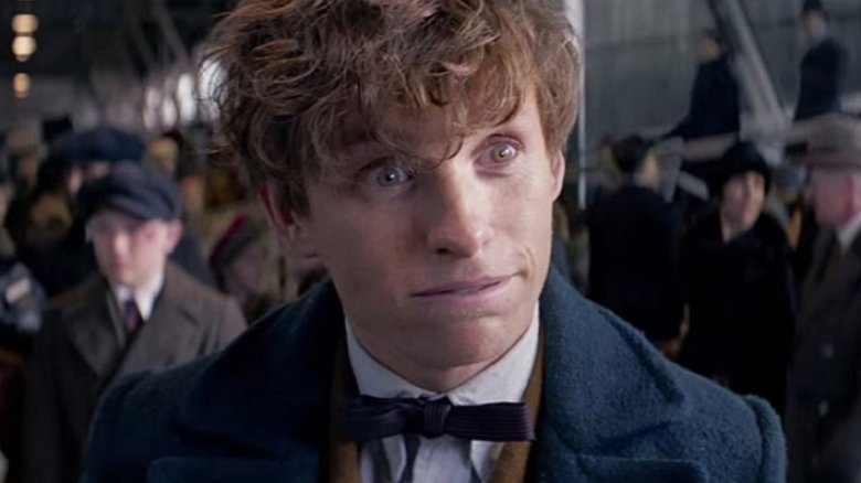 Newt Scamander Eddie Redmayne Fantastic Beasts