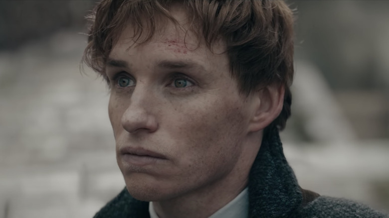 Newt looking intense Fantastic Beasts