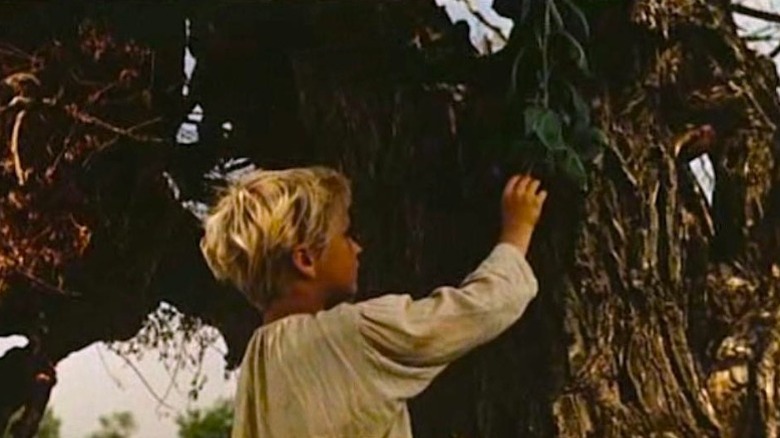Sashko touching leaves on a tree in The Enchanted Desna