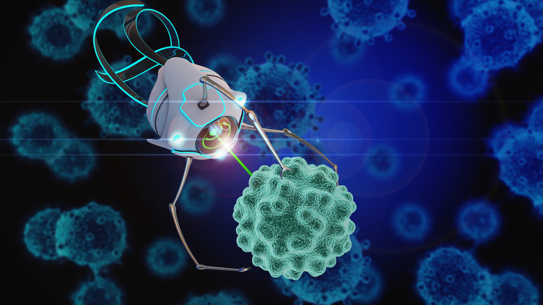 Nanobot and a cell
