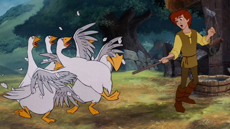 Taran threatening geese