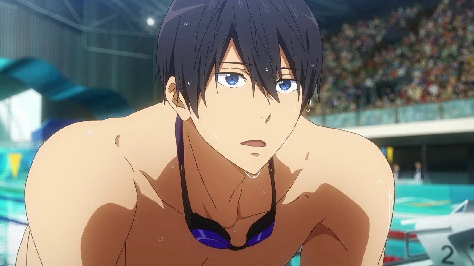 Free! Season 4 - Will It Ever Happen?