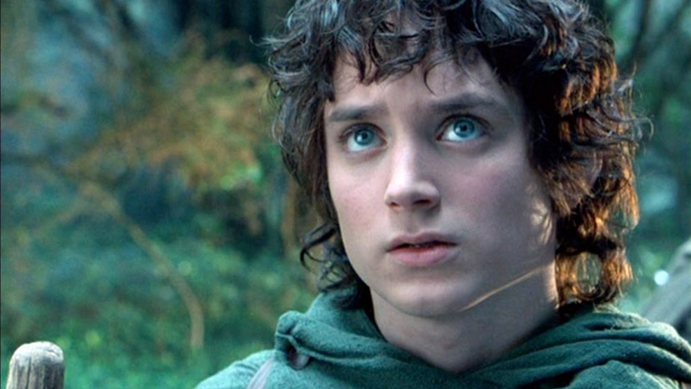 Frodo Baggins