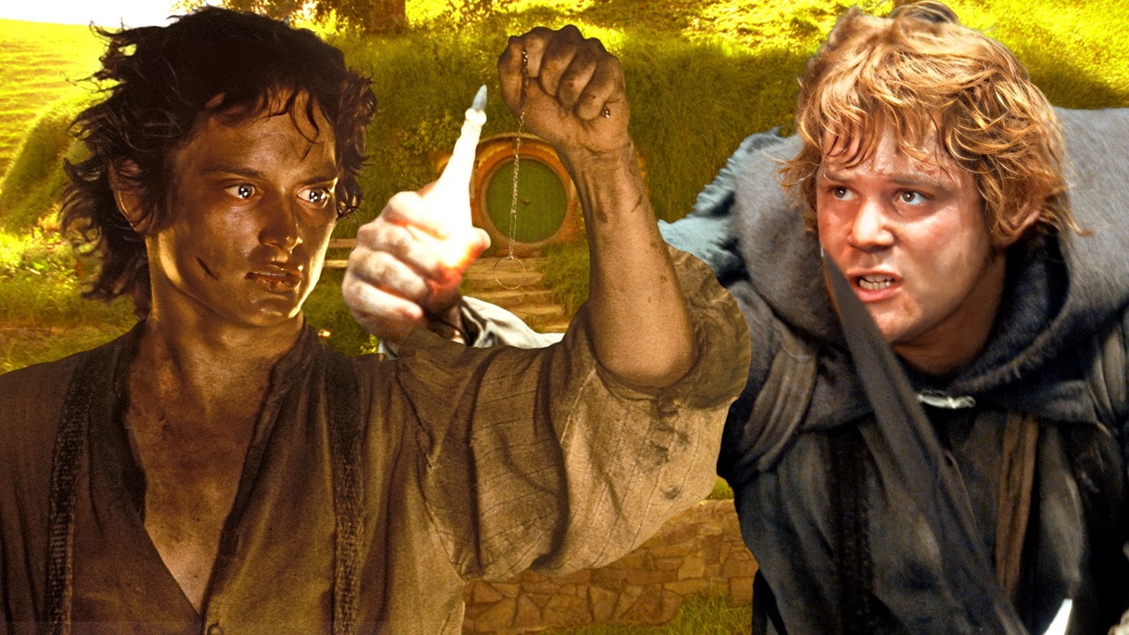 Lord Of The Rings Frodo