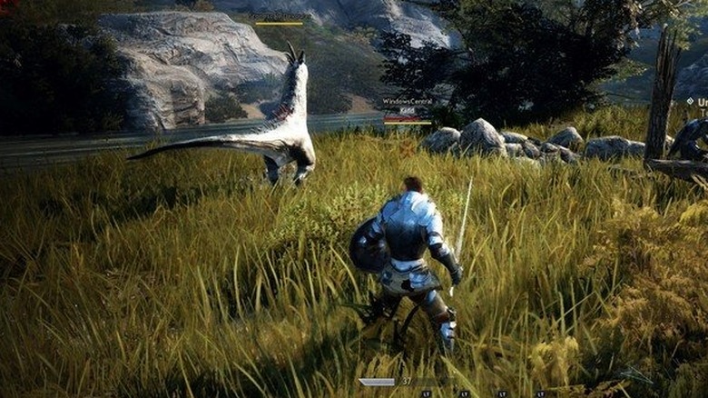 Black Desert Online Gameplay