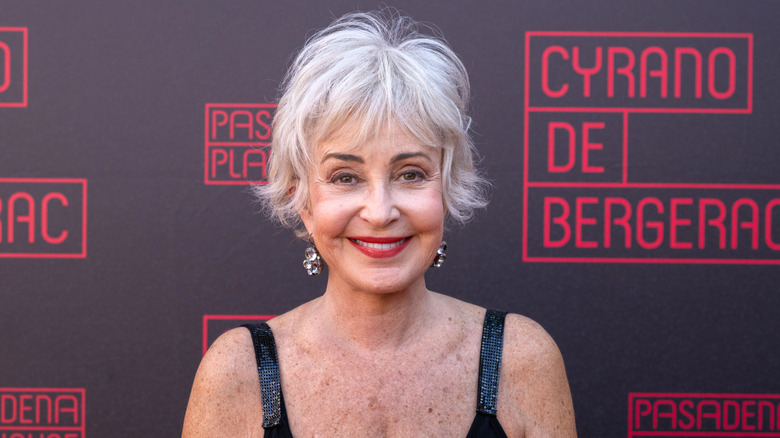 Annie Potts smiling on the red carpet in 2024