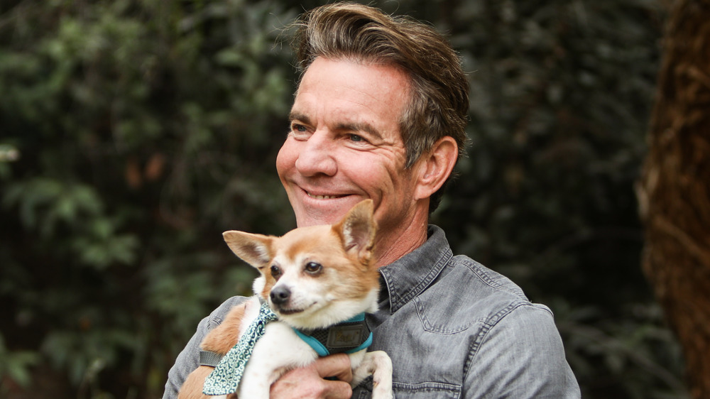 Dennis Quaid holding small dog