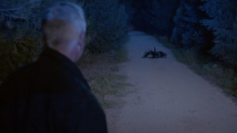 Gibbs looks at Mishnev