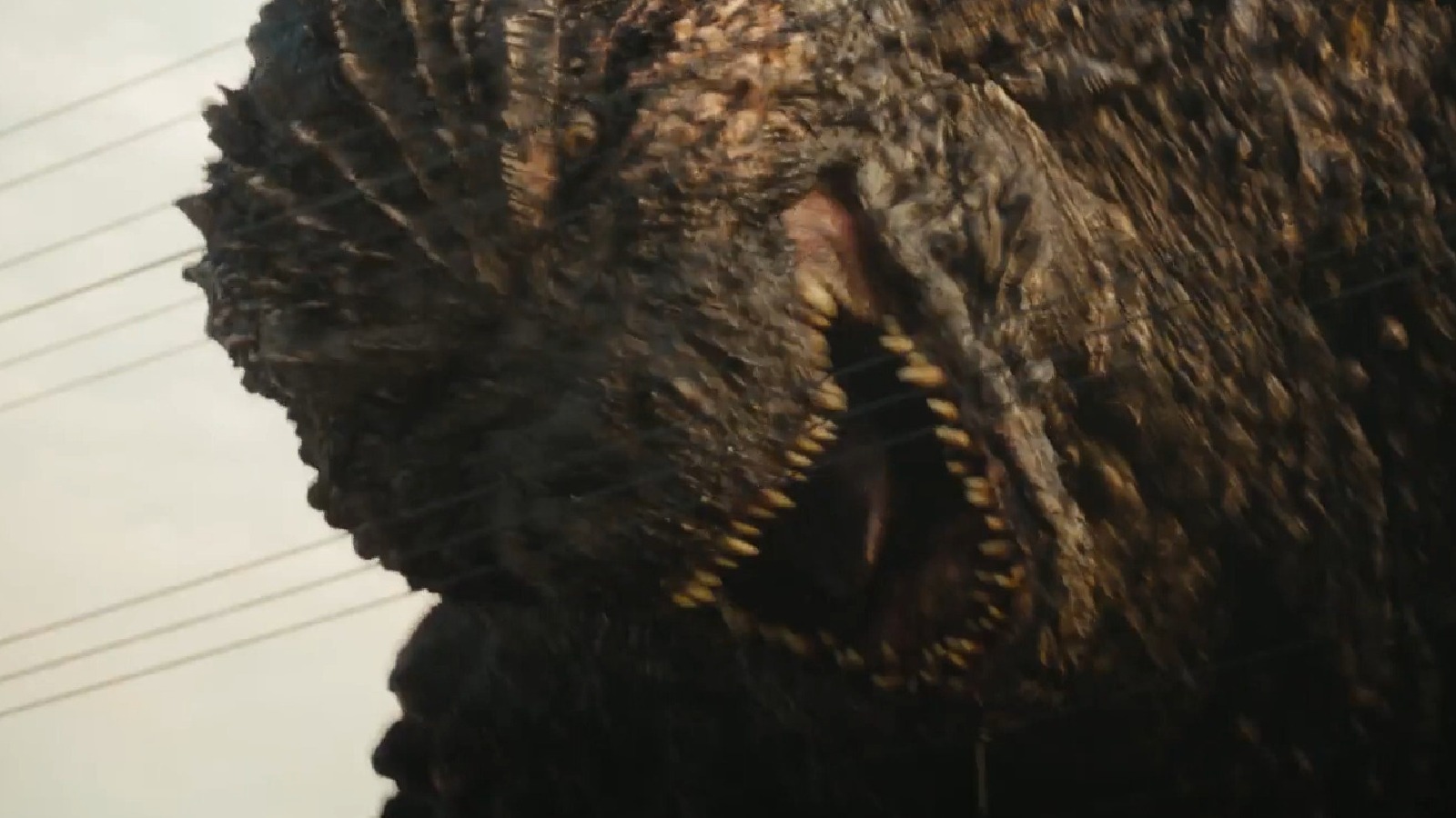Godzilla The Dark Reason Toho s New Movie Is Called Minus One 