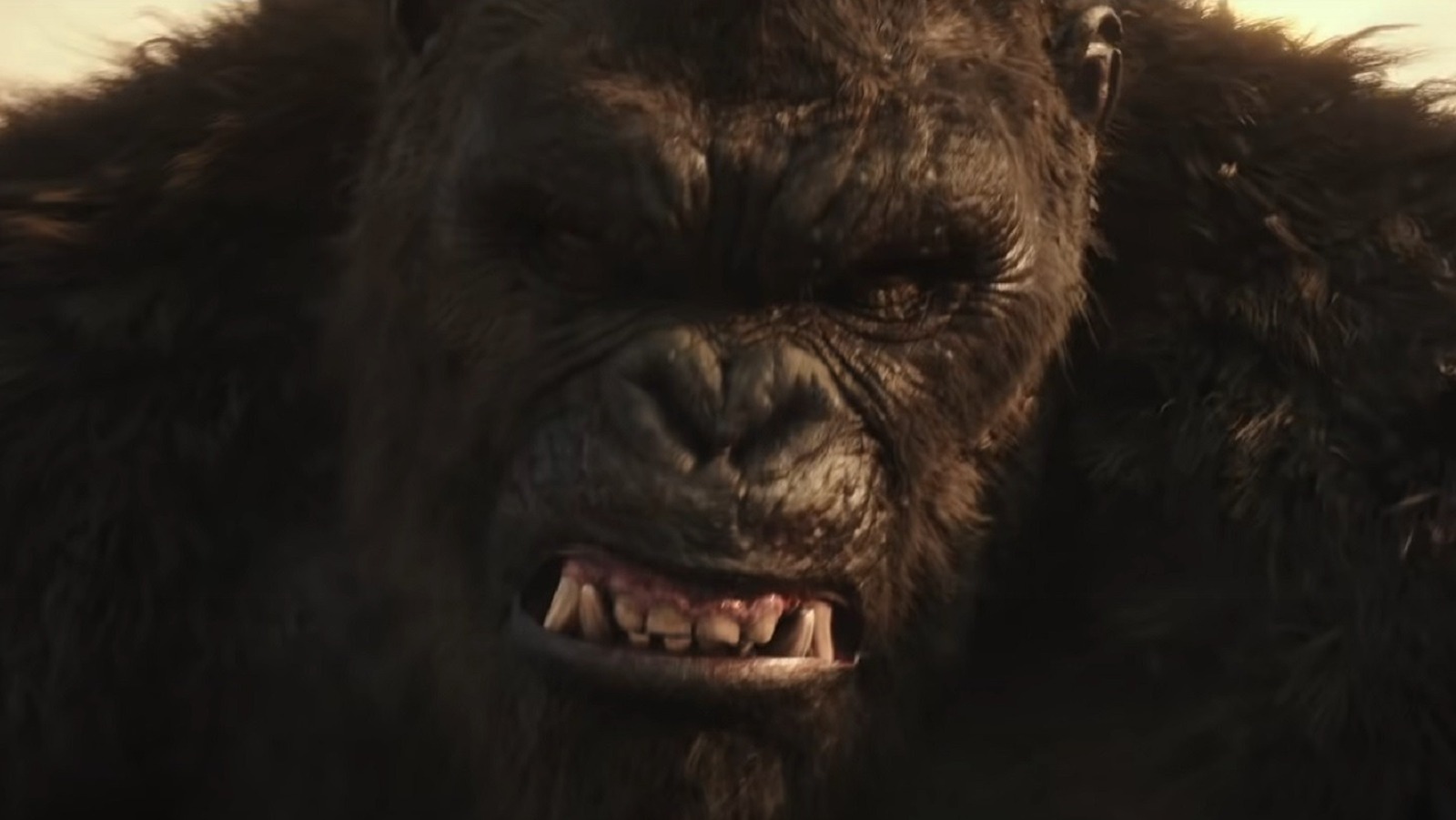 Godzilla Vs. Kong Just Dethroned This DCEU Hit On HBO Max