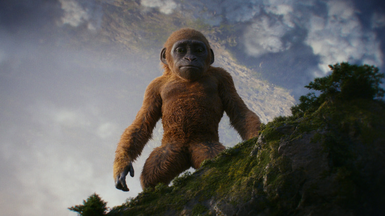 Baby Kong standing on mountain