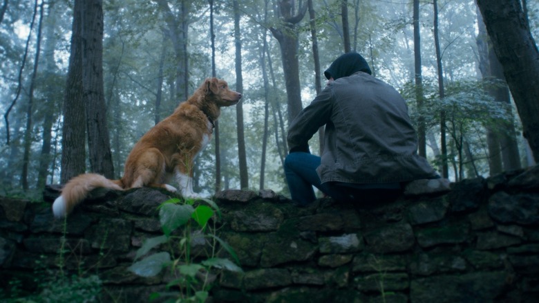 Indy and Todd in the woods in Good Boy